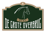 De Grote Overbrug