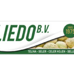 Liedo BV